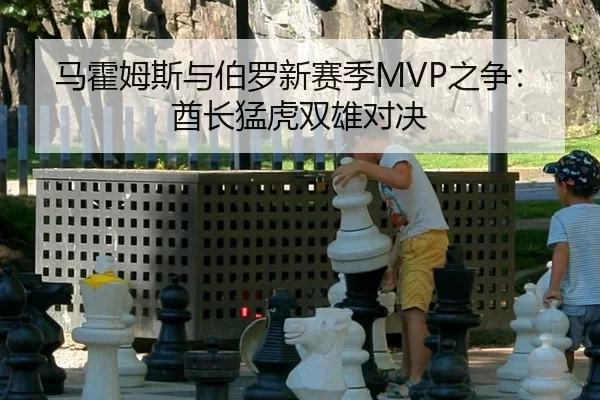 马霍姆斯与伯罗新赛季MVP之争：酋长猛虎双雄对决